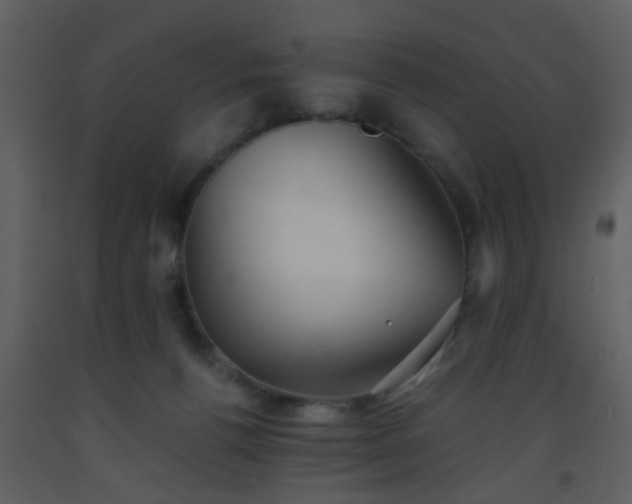 X0000093570176200710221451