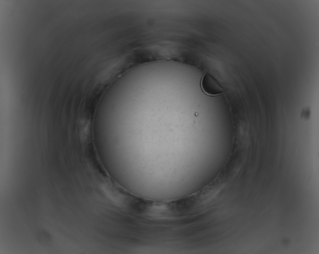 X0000093570177200710221451
