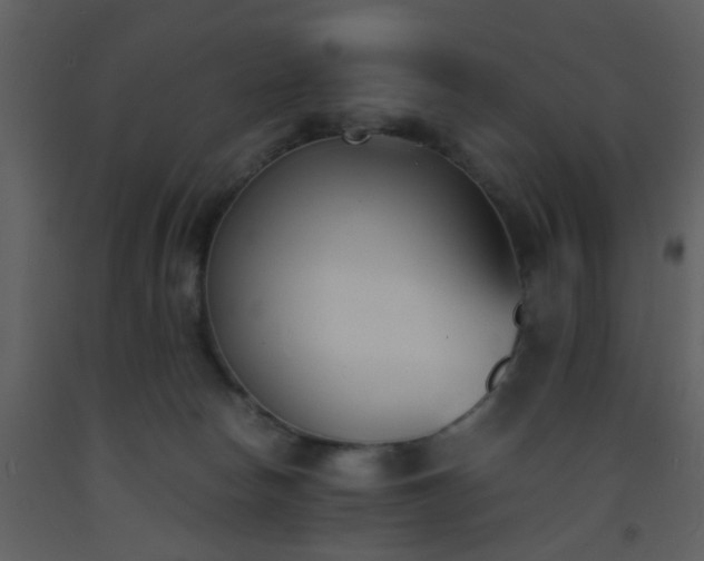 X0000093570178200710221451
