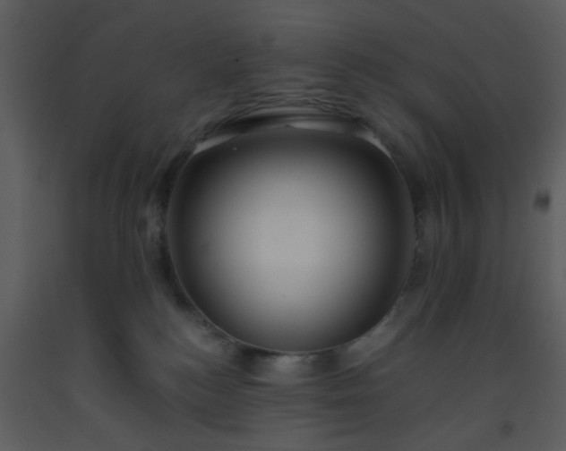X0000093570184200710221451