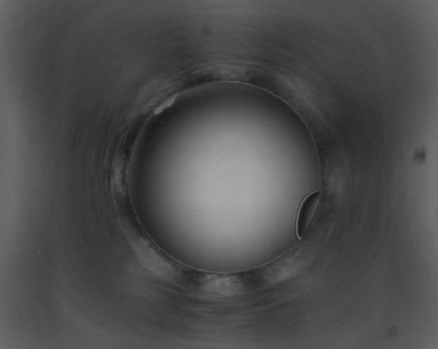 X0000093570185200710221451