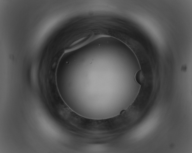 X0000093570189200710221451