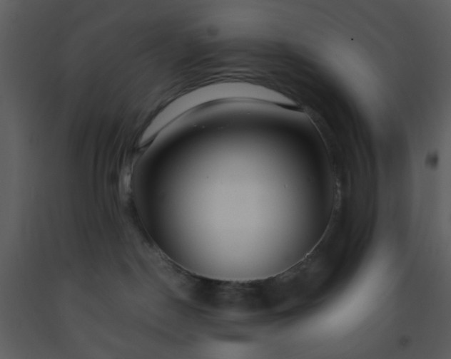 X0000093570190200710221451