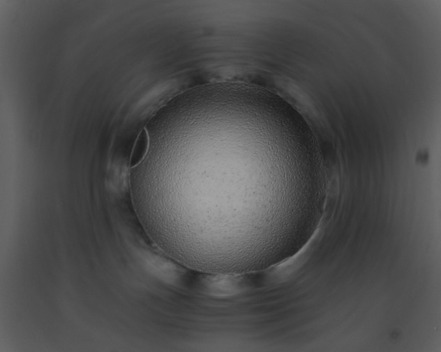 X0000093570191200710221451