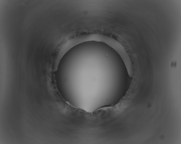 X0000093570192200710221451