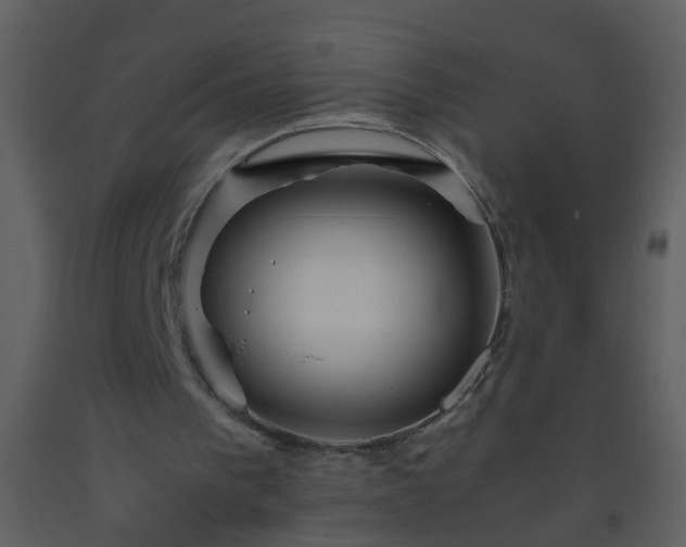 X0000093570193200710221450