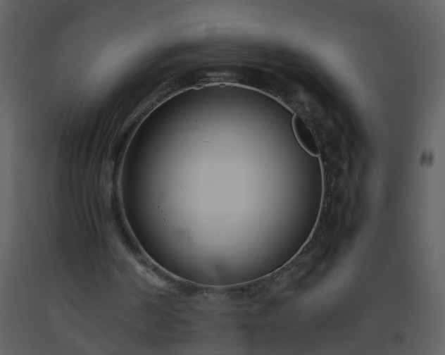 X0000093570194200710221450