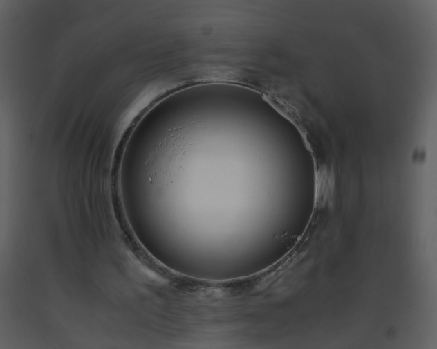 X0000093570195200710221450
