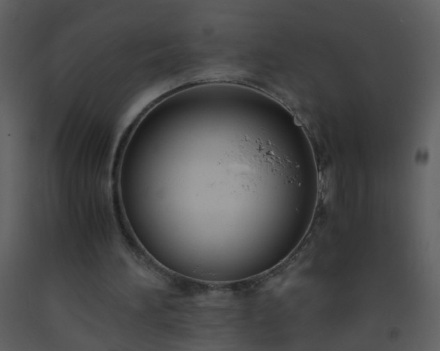 X0000093570196200710221450