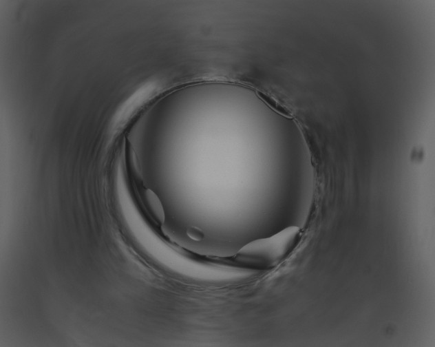 X0000093570197200710221450