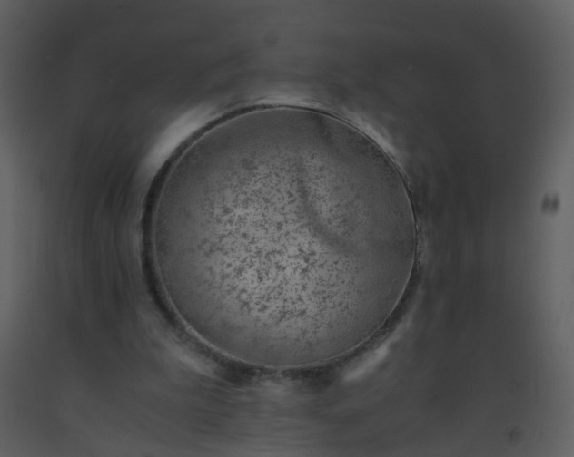X0000093570199200710221450