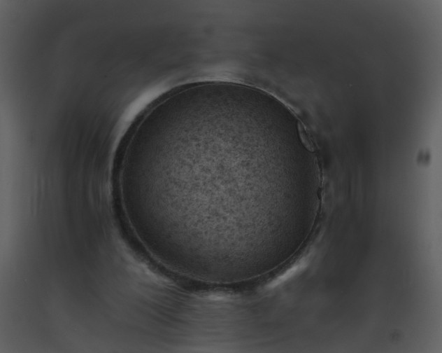 X0000093570200200710221450