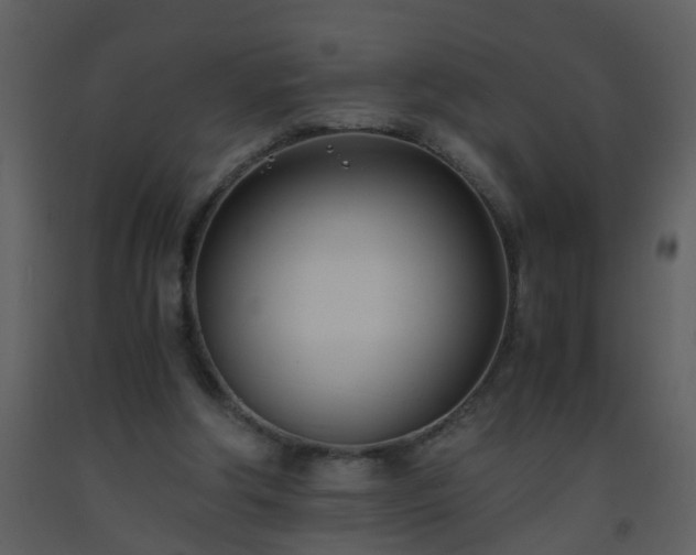 X0000093570202200710221450