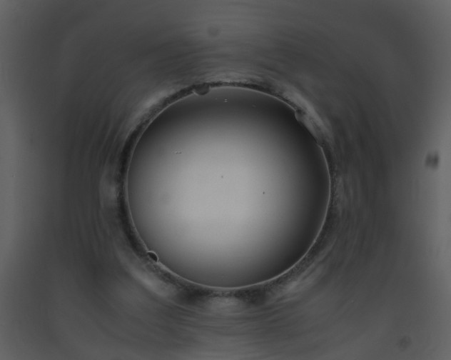 X0000093570203200710221450