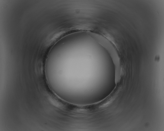 X0000093570205200710221450