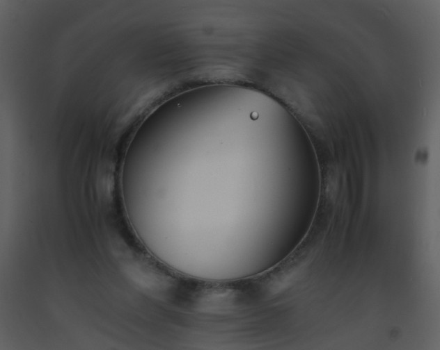 X0000093570206200710221450