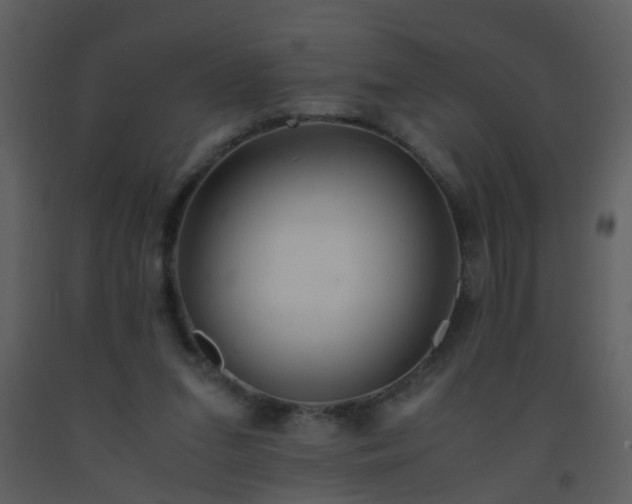 X0000093570207200710221450