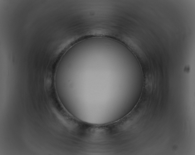 X0000093570208200710221450