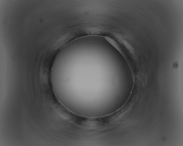 X0000093570209200710221450