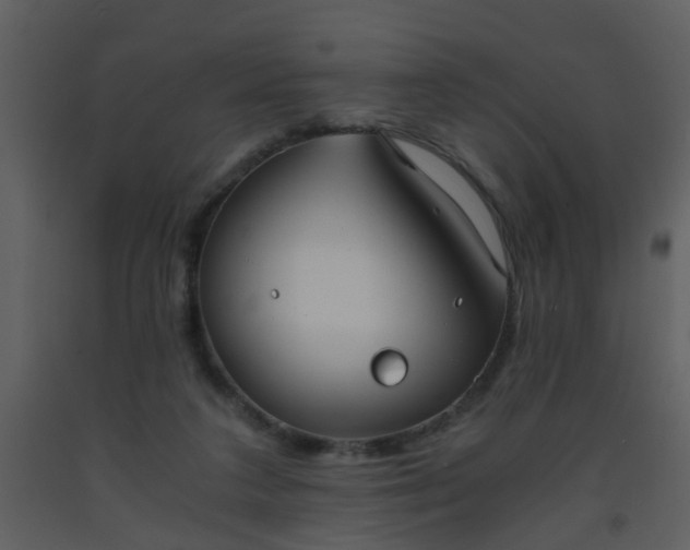 X0000093570211200710221450