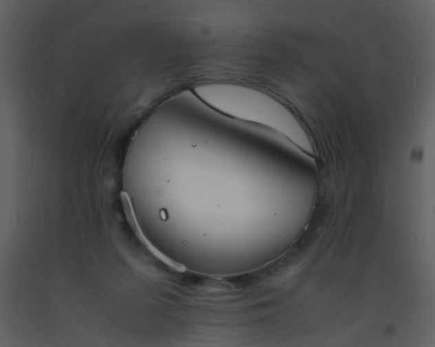 X0000093570215200710221450