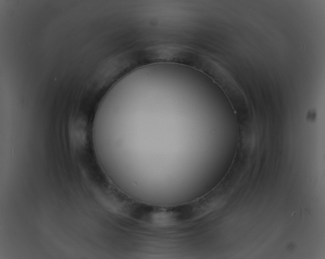 X0000093570216200710221450