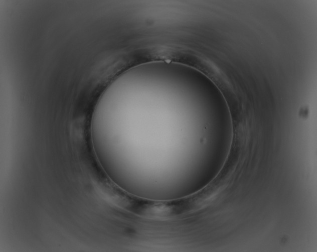 X0000093570217200710221450