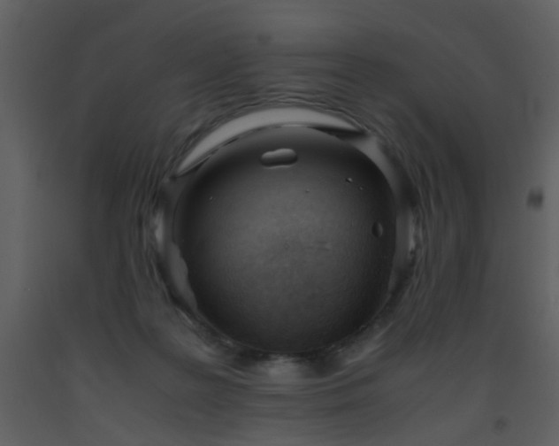 X0000093570219200710221450