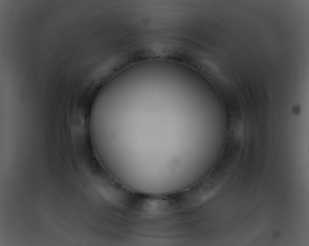 X0000093570220200710221450