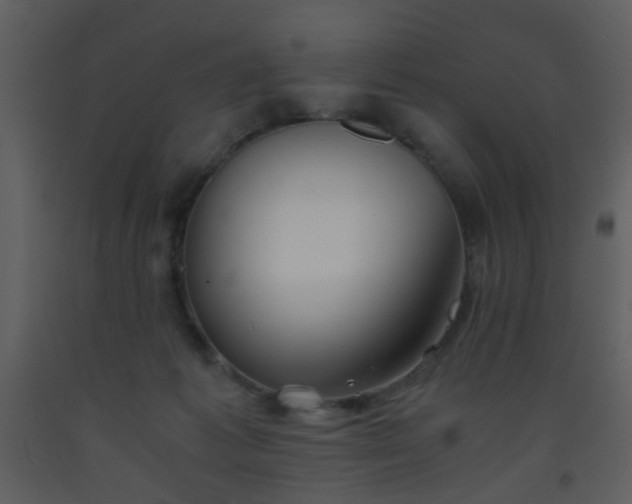 X0000093570221200710221450