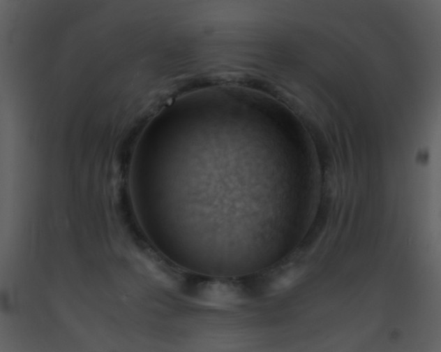 X0000093570223200710221450