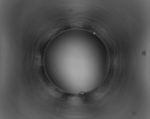 X0000093570224200710221450