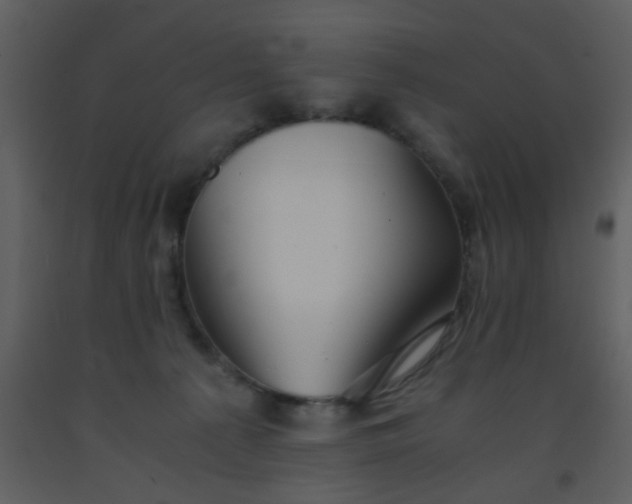 X0000093570225200710221450