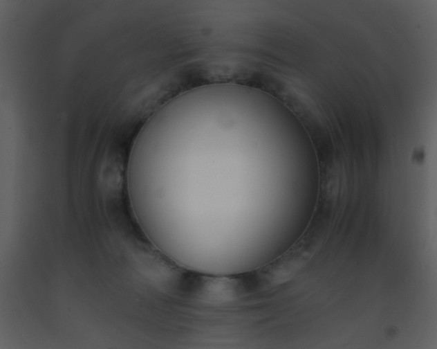 X0000093570226200710221450