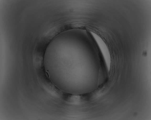 X0000093570227200710221450