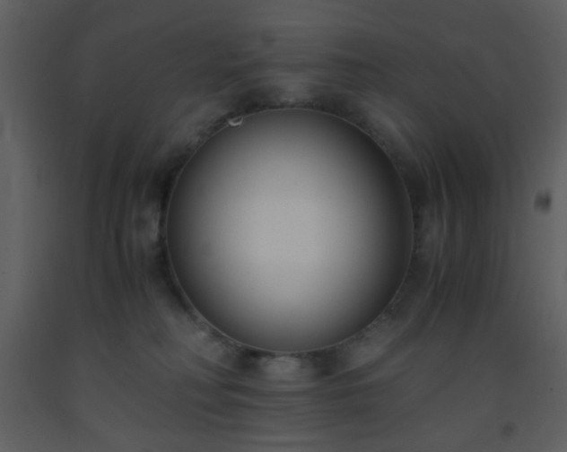 X0000093570230200710221450