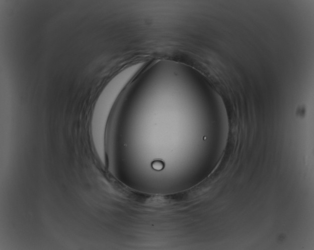 X0000093570231200710221450