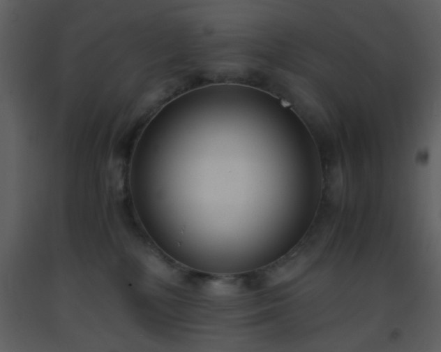 X0000093570232200710221450