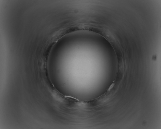 X0000093570233200710221450