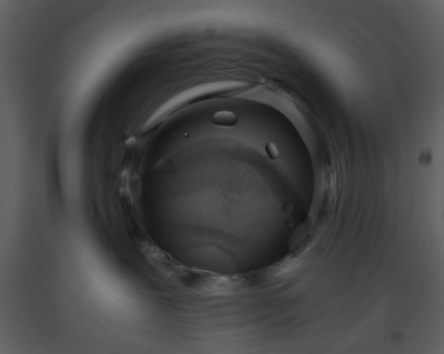 X0000093570239200710221450