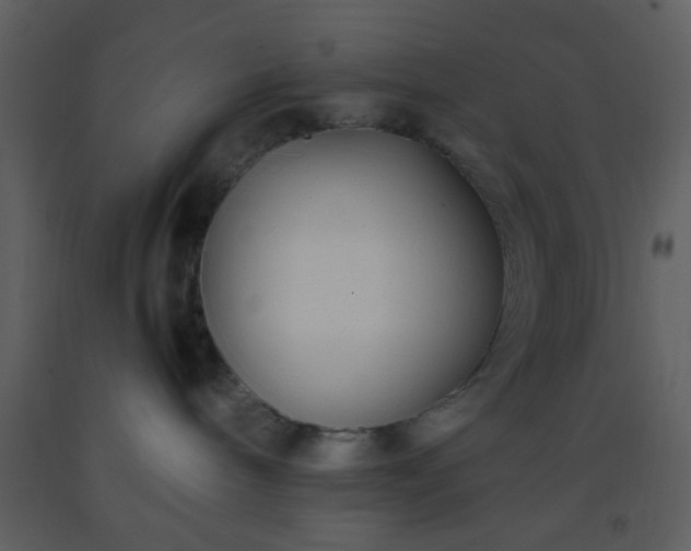 X0000093570240200710221450