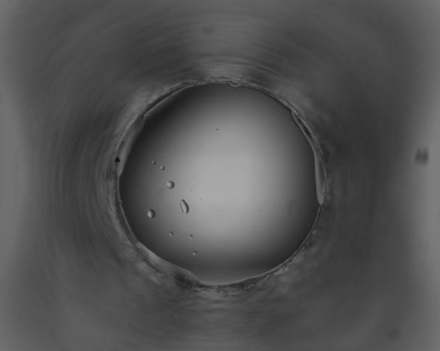 X0000093570241200710221449