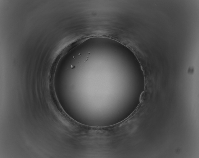 X0000093570242200710221449