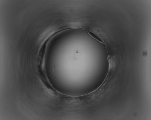 X0000093570243200710221449