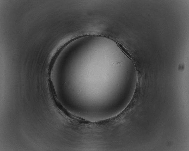 X0000093570244200710221449