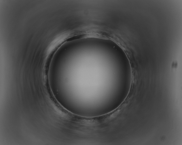 X0000093570245200710221449