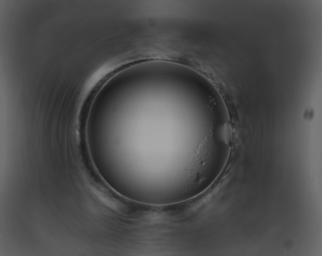 X0000093570246200710221449