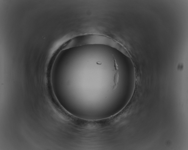 X0000093570248200710221449