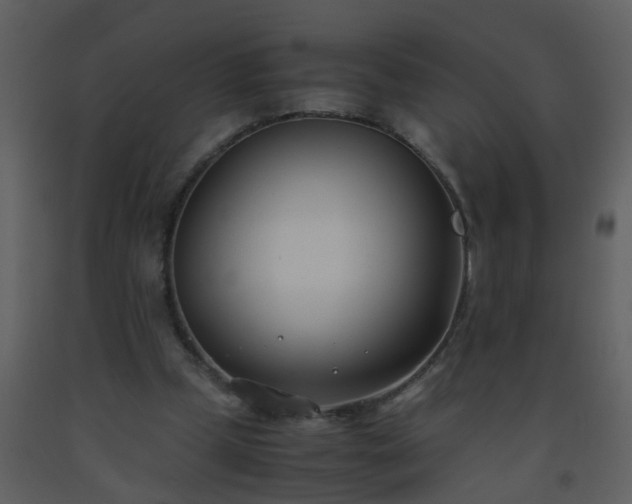 X0000093570249200710221449