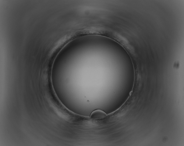 X0000093570250200710221449